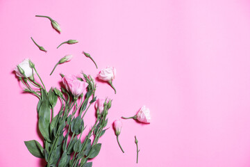 beautiful spring flowers on pink paper background