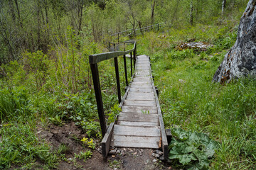 An old abandoned wooden staircase, steps from boards, a descent down the stairs with railings, a park for walking, a landscape in the forest.