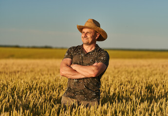 Farmer at sunset in the wheat field at sunset