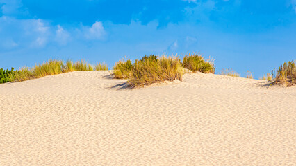 Donana National Park in Spain A UNESCO World Heritage Site