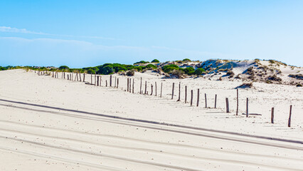 Donana National Park in Spain A UNESCO World Heritage Site