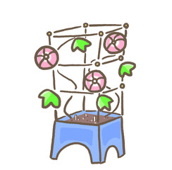 R:もっとメルヘンな夏休み☆あさがお観察日記②