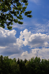 Obraz premium sky and clouds