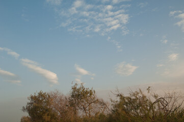 Obraz premium Trees and clouds in Oiseaux du Djoudj National Park. Saint-Louis. Senegal.