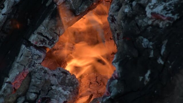 Fire in wooden logs burning of a barbecue