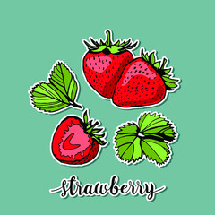 Vector set of hand drawn strawberrys and leaves, paper stickers.