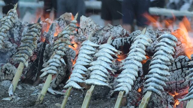Sardines espetos skewers grilled at fire in a popular vervain