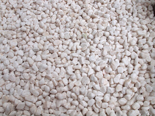 散りばめられた白い小石