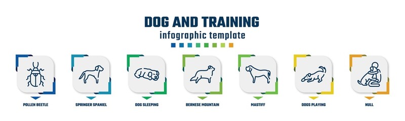 dog and training concept infographic design template. included pollen beetle, springer spaniel, dog sleeping, bernese mountain, mastiff, dogs playing, null icons and 7 option or steps.