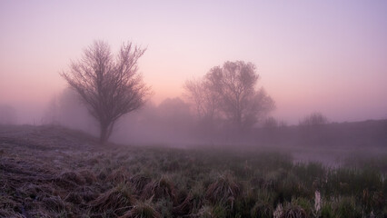 Obraz na płótnie Canvas morning mist in the field