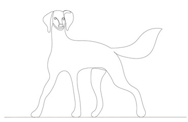 dog drawing in one continuous line, isolated, vector