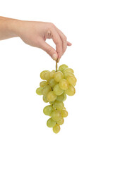 A branch of green ripe grapes in his hand.