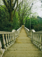stairway in the park