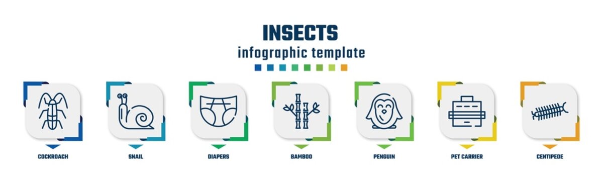 insects concept infographic design template. included cockroach, snail, diapers, bamboo, penguin, pet carrier, centipede icons and 7 option or steps.