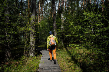 Obraz premium Traveling through the forest with a backpack, hiking in the park along the trail, a tourist route in the taiga, a guy goes hiking, a view from behind a tourist, orange pants.