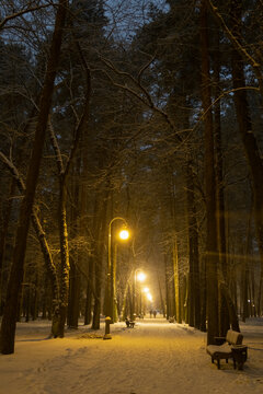 night in the park © bykot