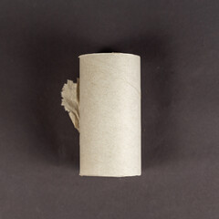 An empty sleeve of toilet paper against a gray background. Cylindrical sleeve with a small piece of toilet paper. Selective focus.