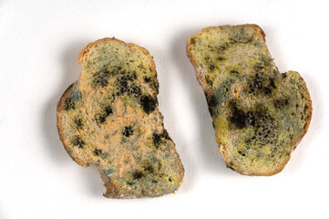 The moldy bread is opposite the neutral background. Two slices of wheat bread covered in fungal mold. Spoiled food. Selective focus.