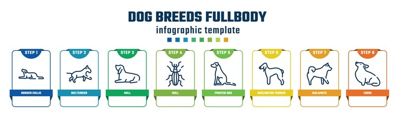 dog breeds fullbody concept infographic design template. included border collie, bulterrier, null, null, pointer dog, bedlington terrier, malamute, corgi icons and 8 options or steps.