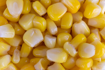 seed sweetcorn pile texture yellow popcorn