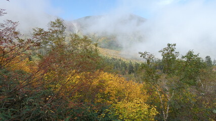 紅葉に染まる晩秋の高原