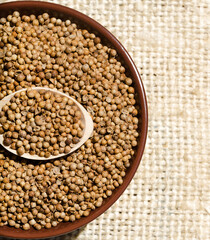 Coriander is a valuable antiscorbutic.