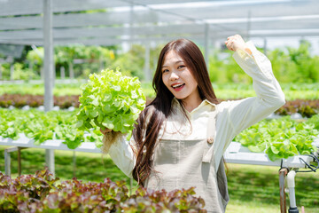 Asian young woman Gardener holding vegetable basket in greenhouse garden, Owner working in hydroponic organic farm and checking the harvest .Concept new business, healthy food, vegetarian.