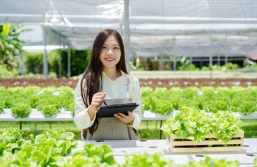Asian young woman Gardener holding vegetable basket in greenhouse garden, Owner working in hydroponic organic farm and checking the harvest .Concept new business, healthy food, vegetarian, smart farm.