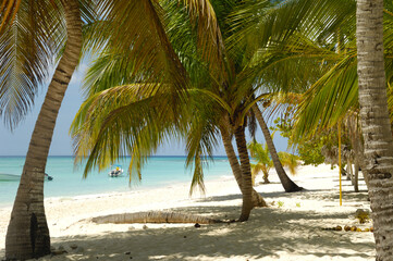 Tropical beach. The Dominican Republic, Saona Island