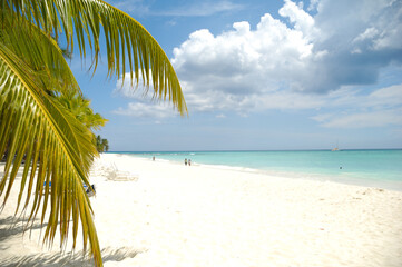 Obraz na płótnie Canvas Tropical beach. The Dominican Republic, Saona Island