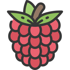 Raspberry Icon