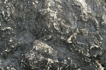 The best stone texture. Lovely textured background. Close-up top view photo.