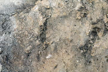 The best stone texture. Lovely textured background. Close-up top view photo.