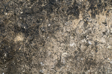concrete wall texture