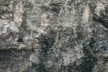 texture background