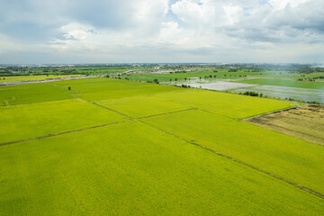 field background, top view landscape, nature