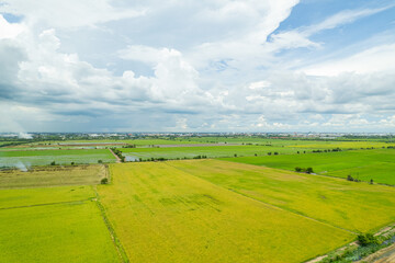 Fototapeta premium field background, top view landscape, nature