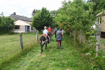 balade ballade âne anesse enfant visite ferme Wallonie Belgique bature