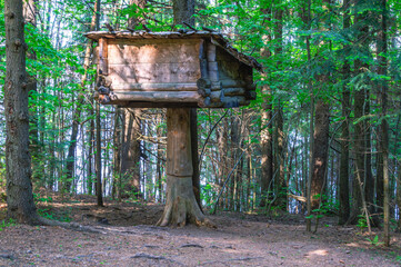 An old shed on one pole for storing fur in the forest. A supply depot in the woods next to a hunting hut. Hunting in the forest in the last century.