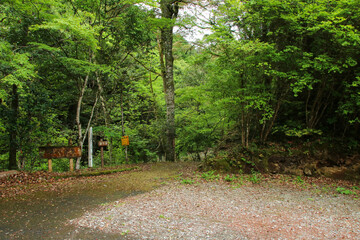 愛媛県西予市　桂川渓谷の風景
