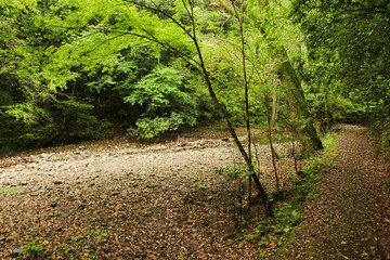 愛媛県西予市　桂川渓谷の風景
