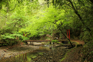 愛媛県西予市　桂川渓谷の風景
