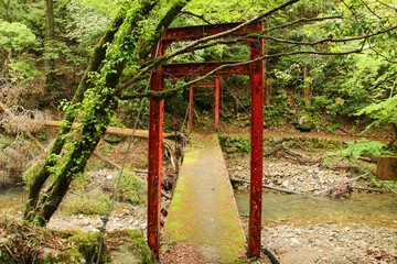 愛媛県西予市　桂川渓谷の風景
