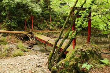 愛媛県西予市　桂川渓谷の風景
