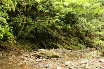 愛媛県西予市　桂川渓谷の風景
