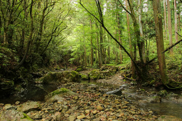 愛媛県西予市　桂川渓谷の風景
