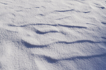 Fototapeta na wymiar snow pattern