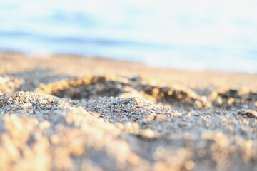 Macro of beach sand