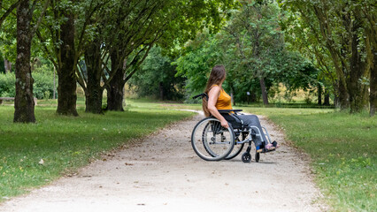 Fototapeta premium Young woman with long hair, moving in a wheelchair, in profile, in the middle of an alley lined with tall green trees
