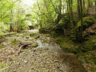 愛媛県西予市　桂川渓谷の風景

